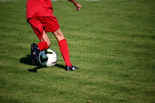 九游体育官方app-羽毛球战术训练模块系统化提升实效，羽毛球技战术分析